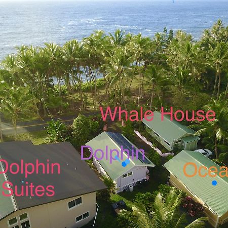 克赫纳海滩鲸屋酒店 Pahoa 外观 照片