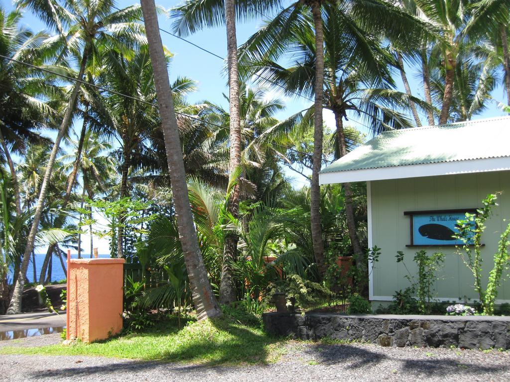 克赫纳海滩鲸屋酒店 Pahoa 客房 照片
