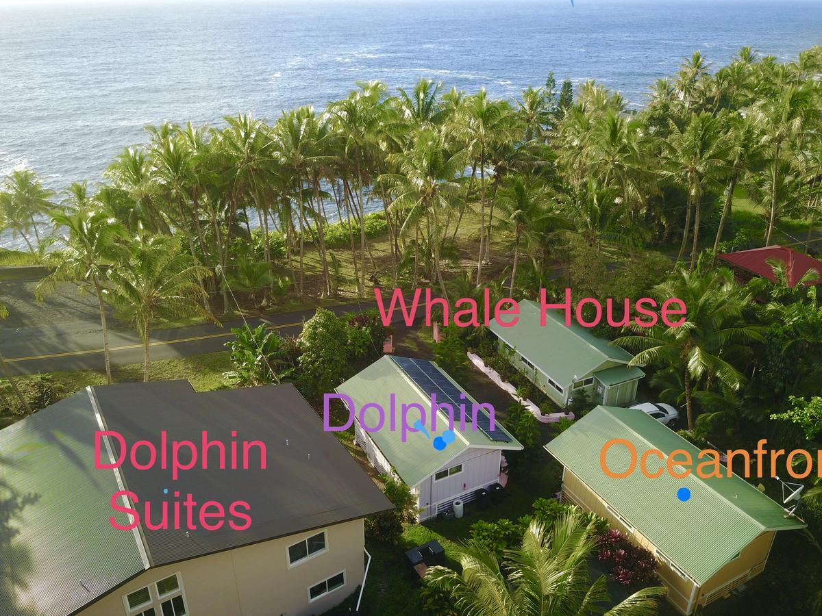 克赫纳海滩鲸屋酒店 Pahoa 外观 照片