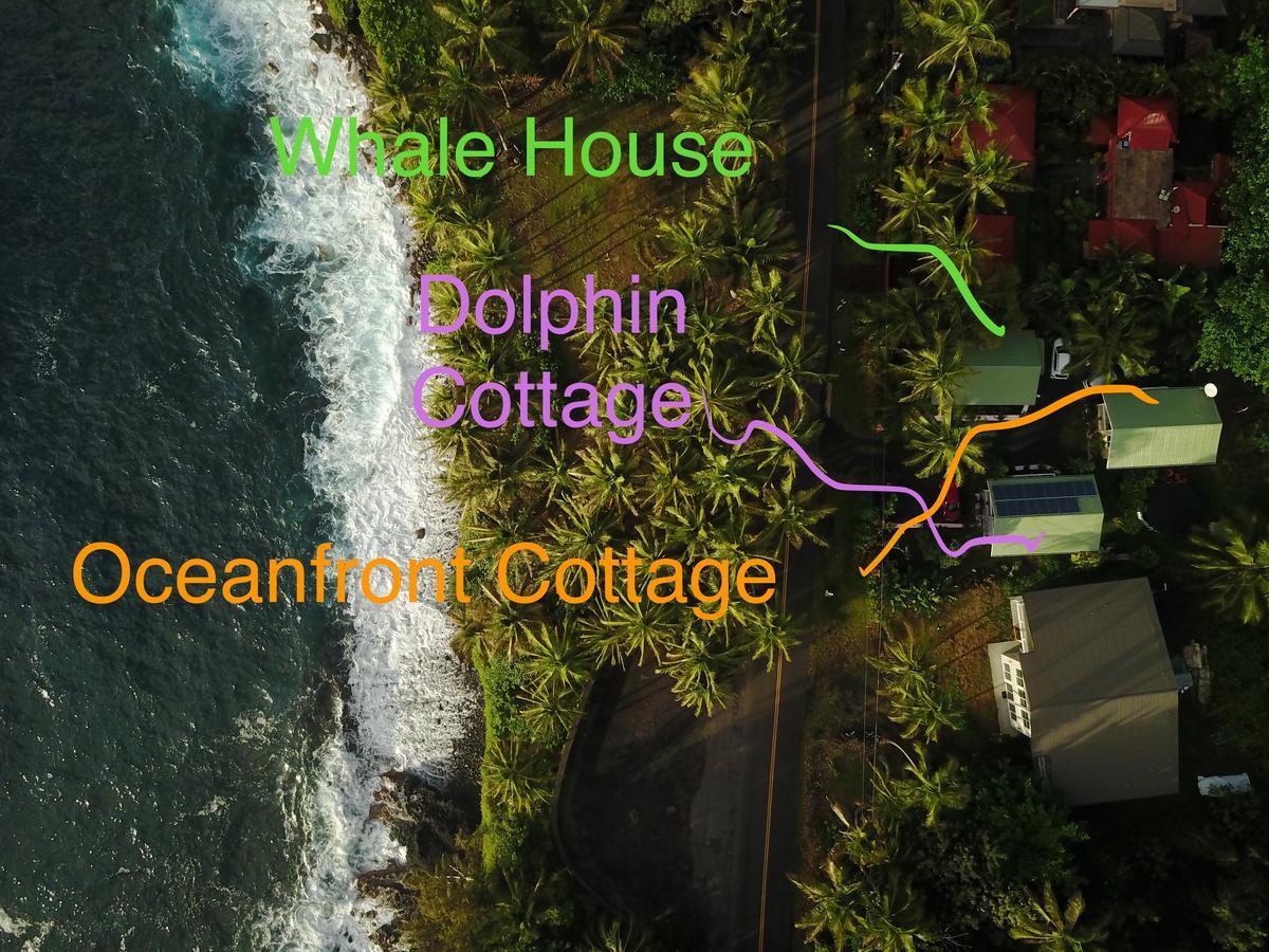 克赫纳海滩鲸屋酒店 Pahoa 外观 照片